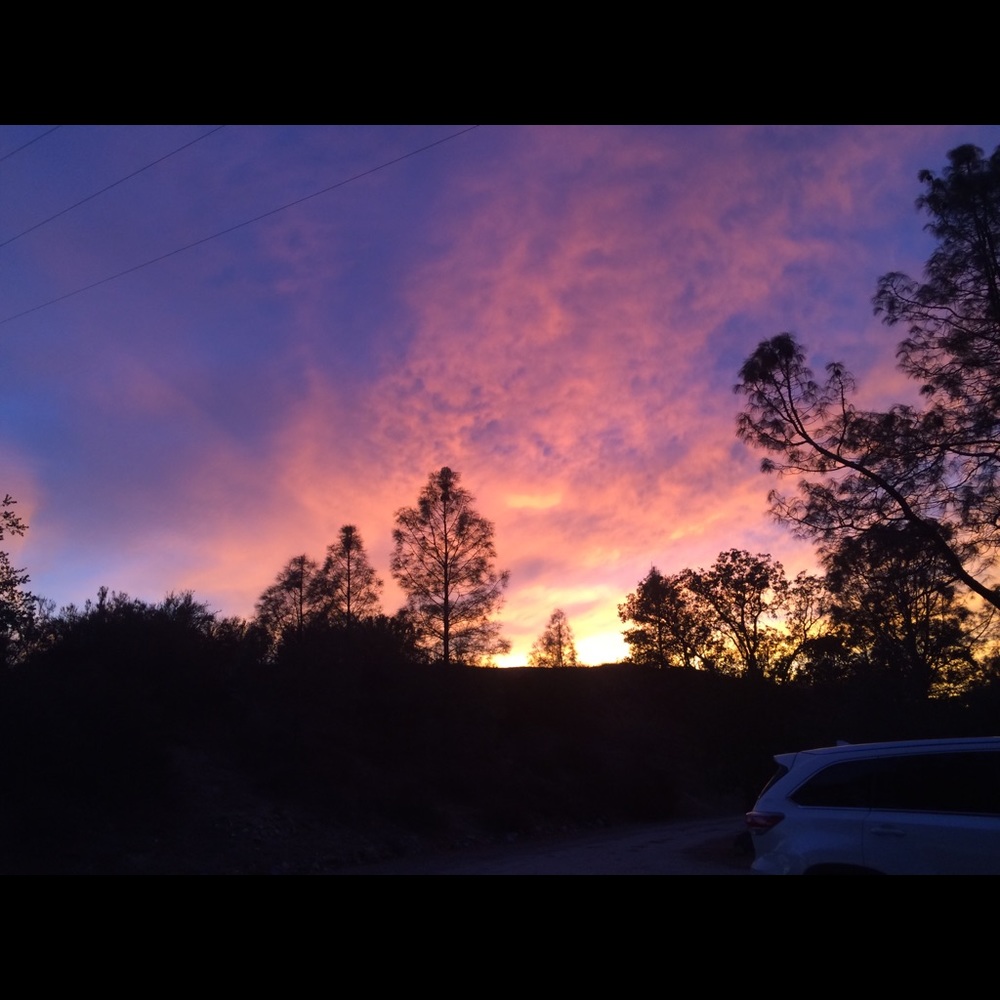 Meet your Posher, Quinn